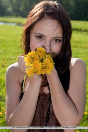 Stelia escort girls in United States, US